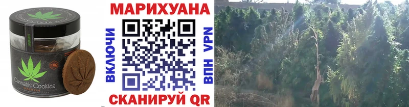 Cannafood марихуана  Великие Луки 