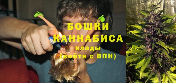 ПСИЛОЦИБИНОВЫЕ ГРИБЫ Беломорск