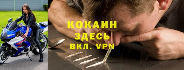 ПСИЛОЦИБИНОВЫЕ ГРИБЫ Беломорск